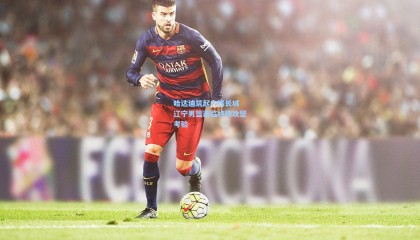 【mk体育】哈达迪筑起内线长城 辽宁男篮面临终极攻坚考验