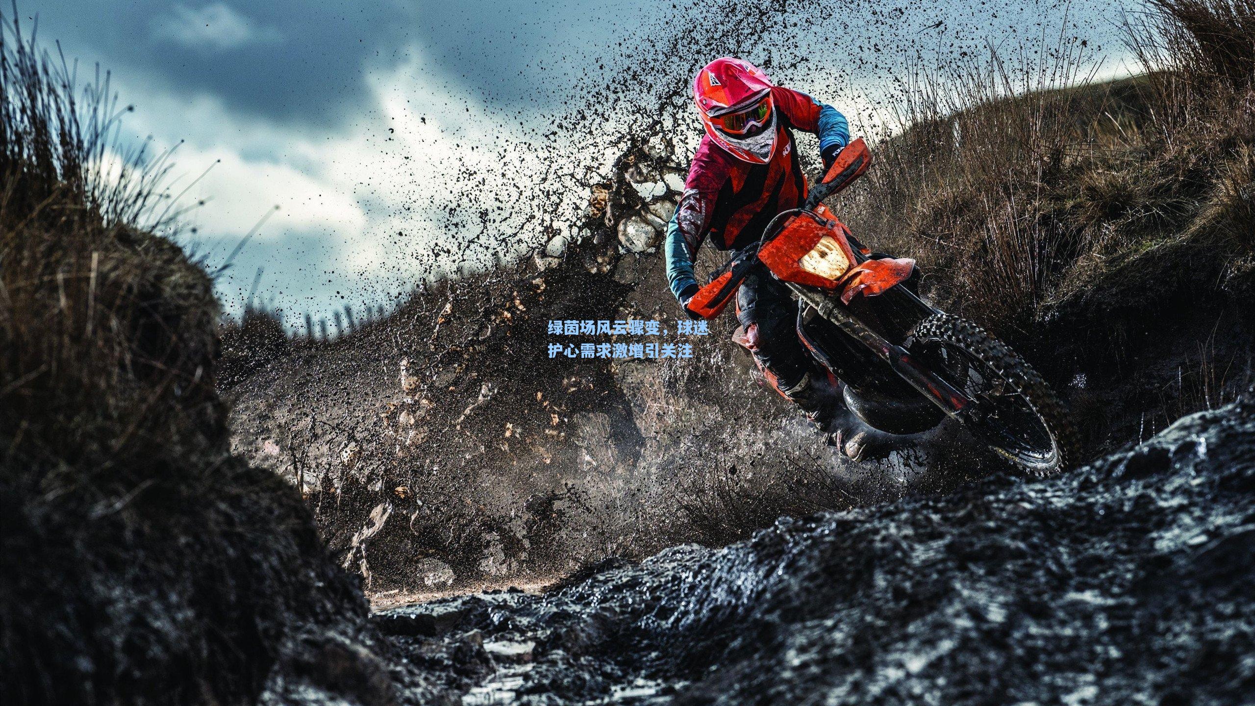 绿茵场风云骤变，球迷护心需求激增引关注